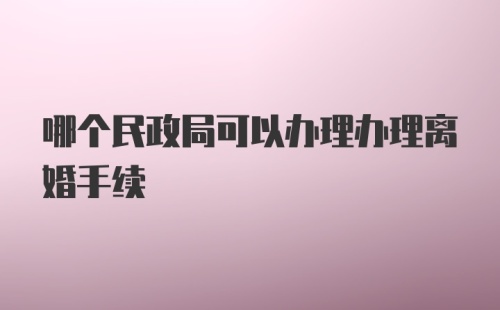 哪个民政局可以办理办理离婚手续