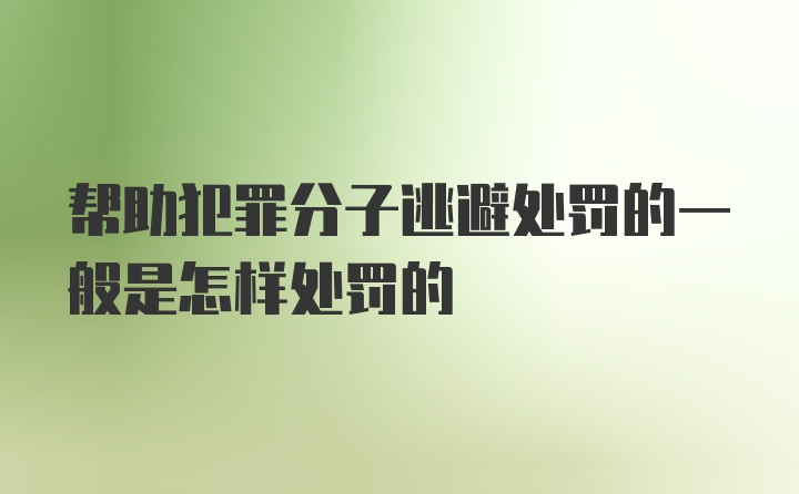 帮助犯罪分子逃避处罚的一般是怎样处罚的