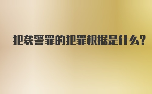 犯袭警罪的犯罪根据是什么？