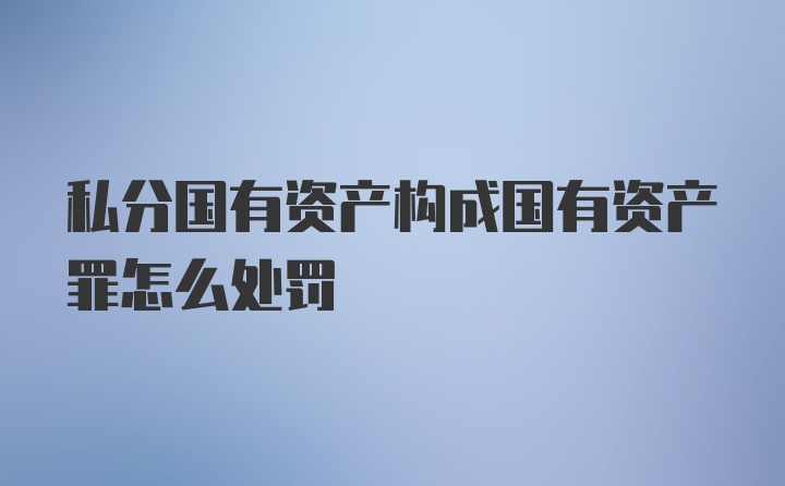 私分国有资产构成国有资产罪怎么处罚