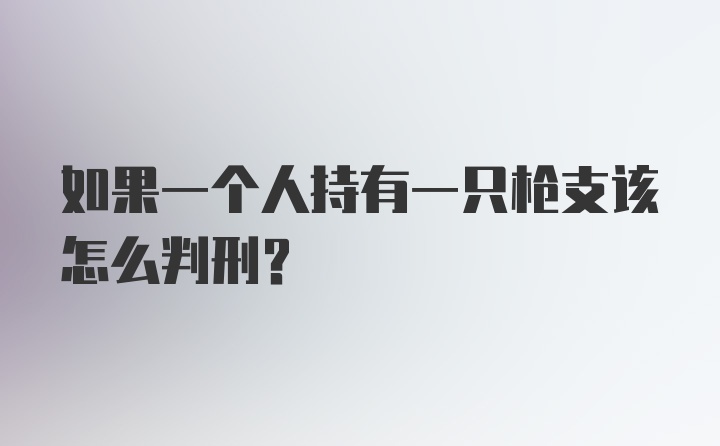 如果一个人持有一只枪支该怎么判刑？