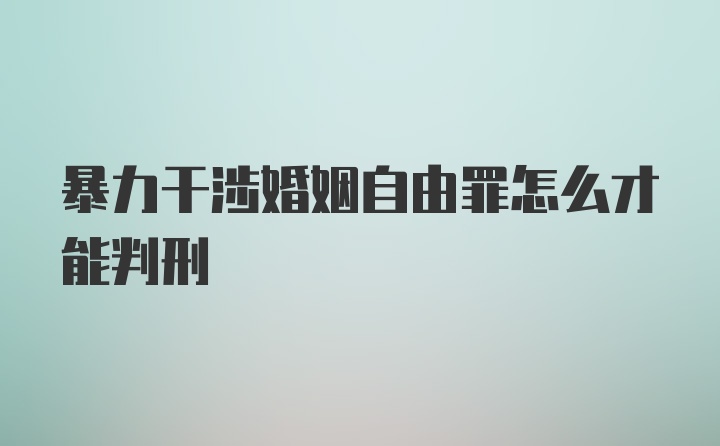 暴力干涉婚姻自由罪怎么才能判刑