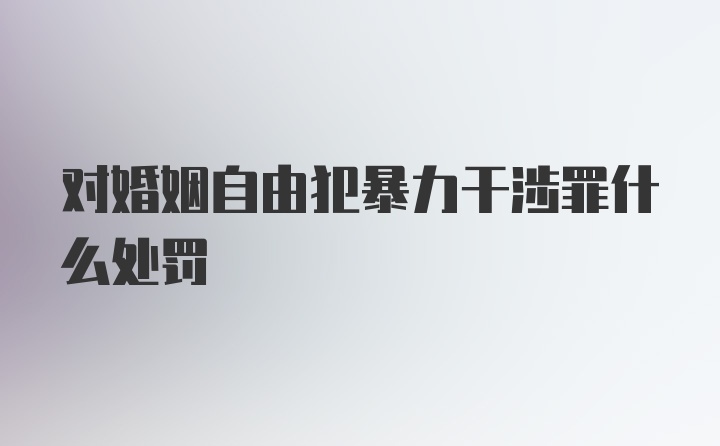 对婚姻自由犯暴力干涉罪什么处罚