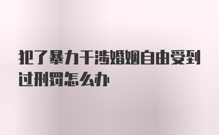 犯了暴力干涉婚姻自由受到过刑罚怎么办