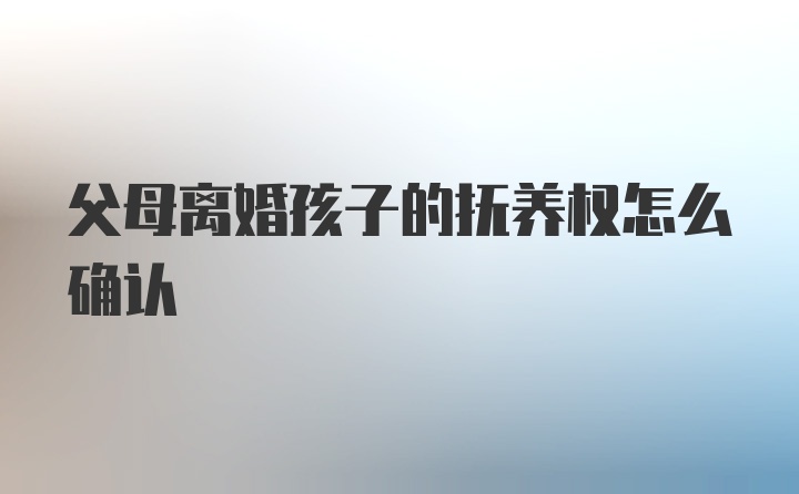 父母离婚孩子的抚养权怎么确认