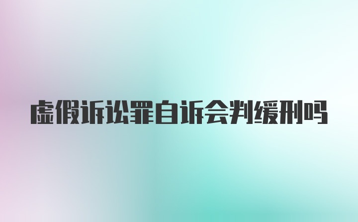 虚假诉讼罪自诉会判缓刑吗