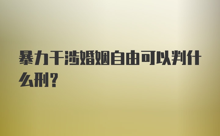 暴力干涉婚姻自由可以判什么刑？