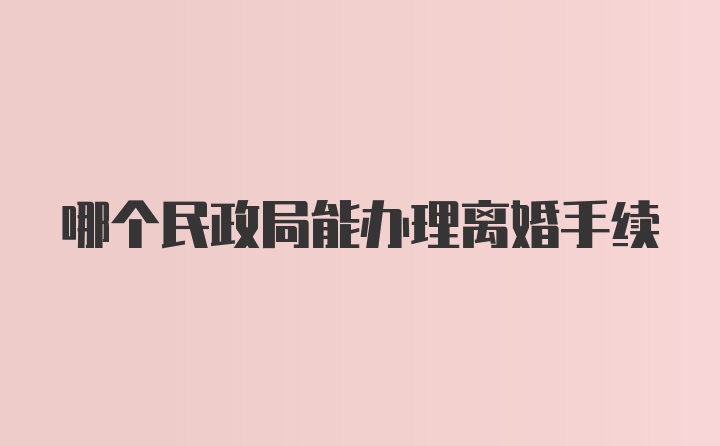 哪个民政局能办理离婚手续