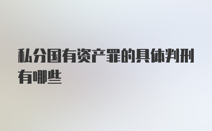 私分国有资产罪的具体判刑有哪些