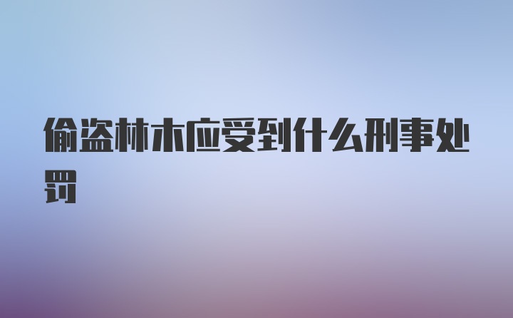 偷盗林木应受到什么刑事处罚