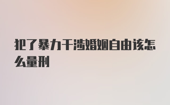 犯了暴力干涉婚姻自由该怎么量刑