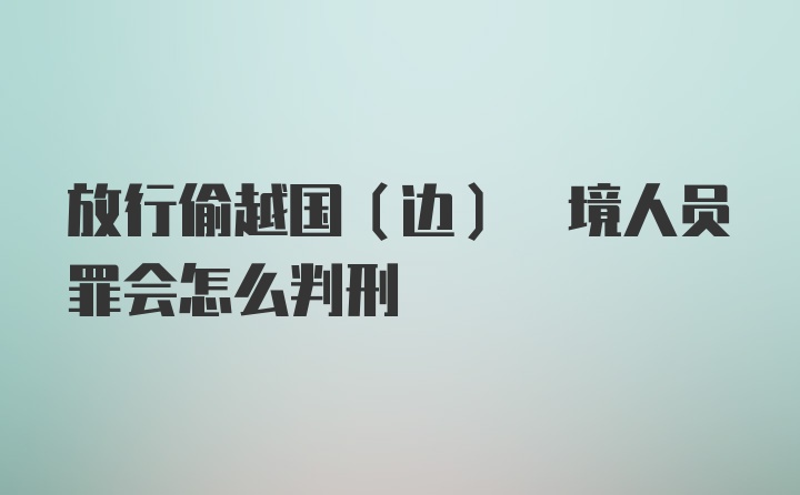 放行偷越国(边) 境人员罪会怎么判刑