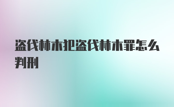 盗伐林木犯盗伐林木罪怎么判刑