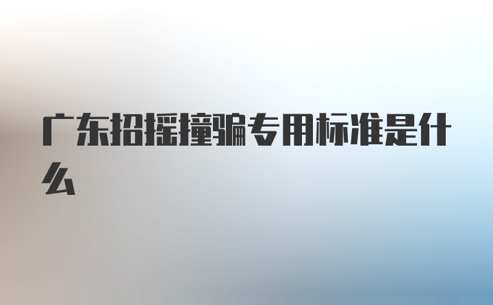 广东招摇撞骗专用标准是什么