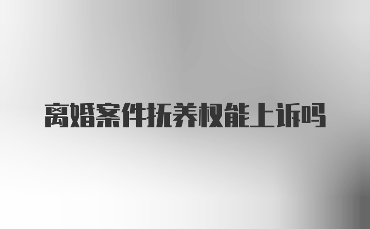 离婚案件抚养权能上诉吗