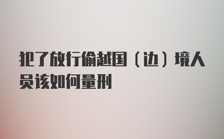 犯了放行偷越国（边）境人员该如何量刑