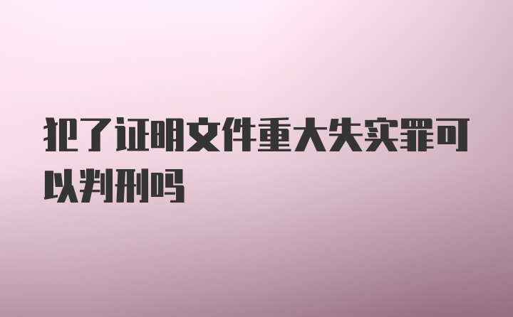 犯了证明文件重大失实罪可以判刑吗
