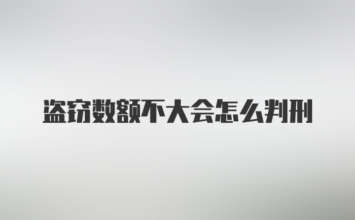 盗窃数额不大会怎么判刑