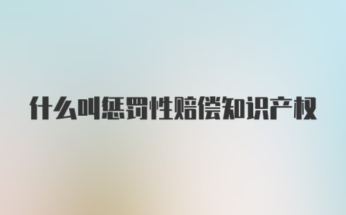 什么叫惩罚性赔偿知识产权