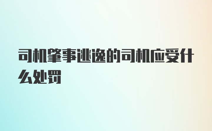 司机肇事逃逸的司机应受什么处罚