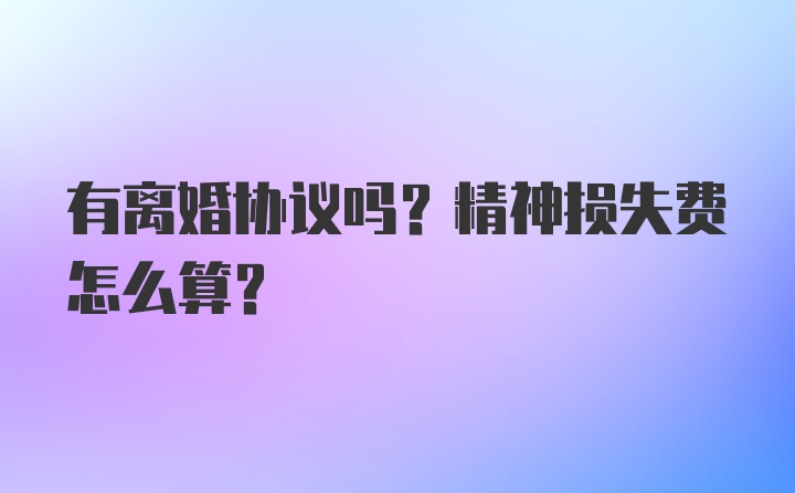 有离婚协议吗？精神损失费怎么算？