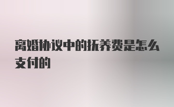 离婚协议中的抚养费是怎么支付的