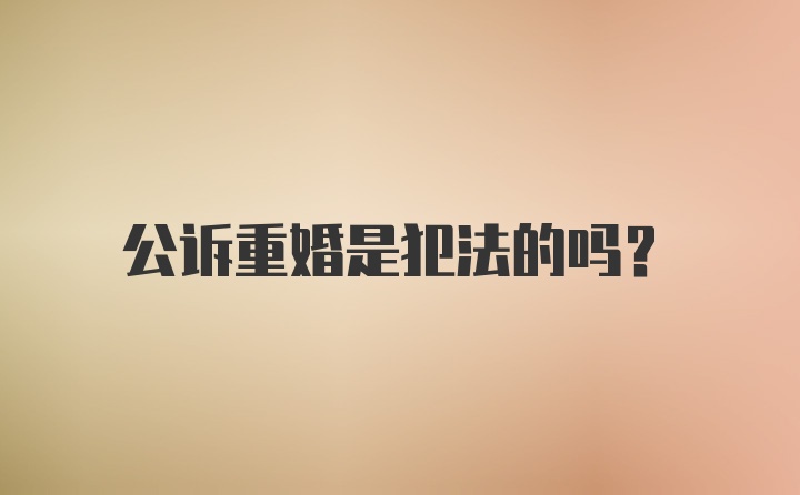 公诉重婚是犯法的吗?