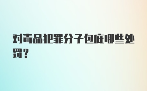 对毒品犯罪分子包庇哪些处罚？