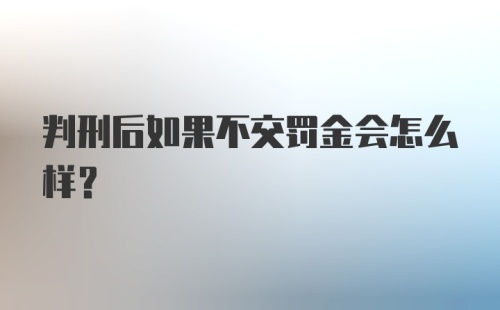 判刑后如果不交罚金会怎么样？