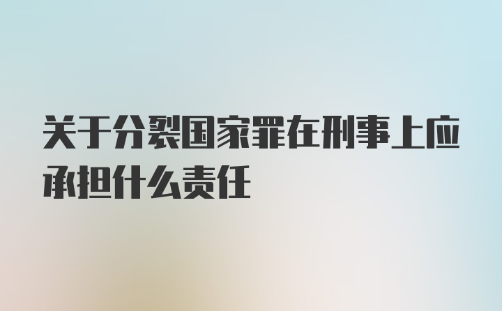 关于分裂国家罪在刑事上应承担什么责任