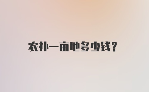 农补一亩地多少钱？