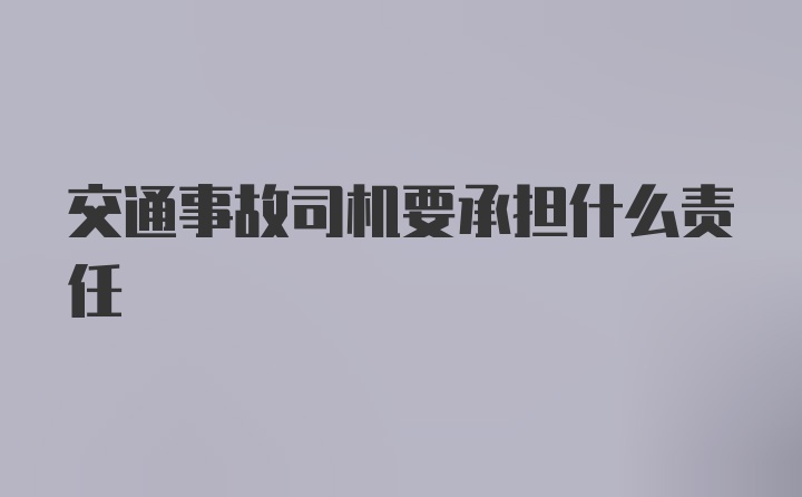 交通事故司机要承担什么责任