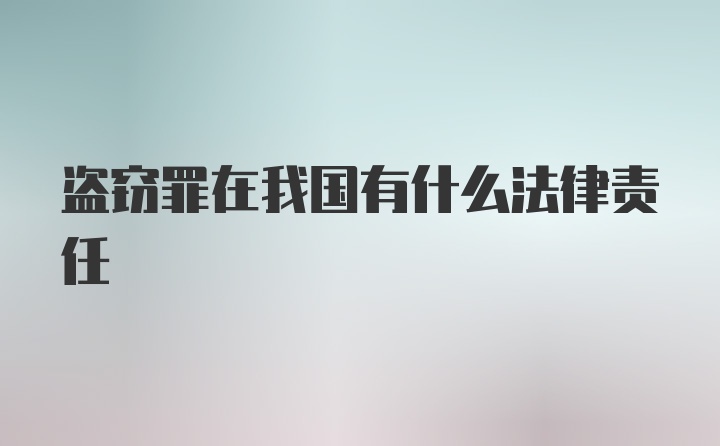 盗窃罪在我国有什么法律责任