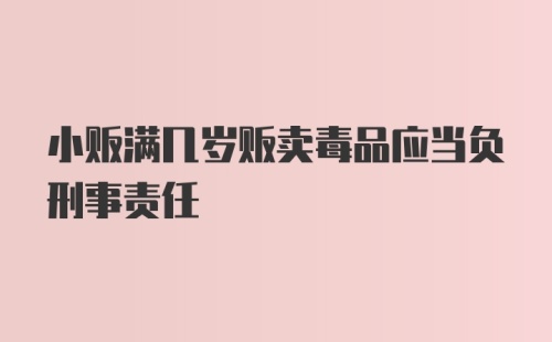 小贩满几岁贩卖毒品应当负刑事责任