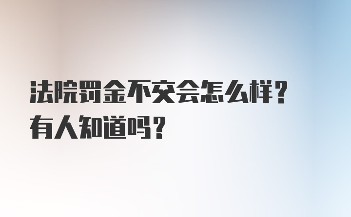 法院罚金不交会怎么样? 有人知道吗？