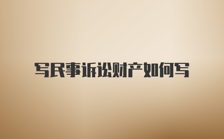 写民事诉讼财产如何写