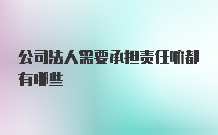 公司法人需要承担责任嘛都有哪些