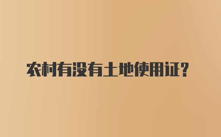 农村有没有土地使用证？