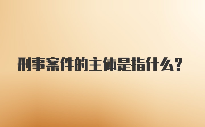 刑事案件的主体是指什么？