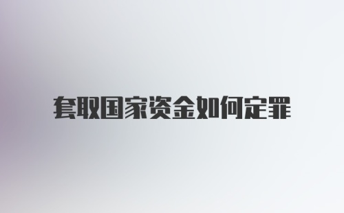 套取国家资金如何定罪