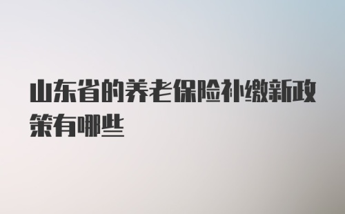 山东省的养老保险补缴新政策有哪些