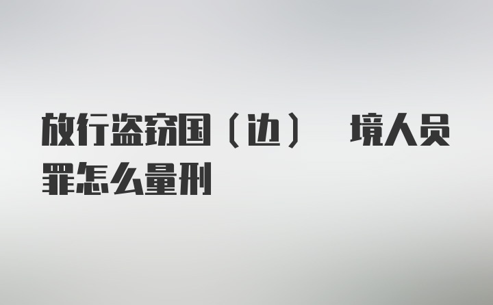 放行盗窃国(边) 境人员罪怎么量刑