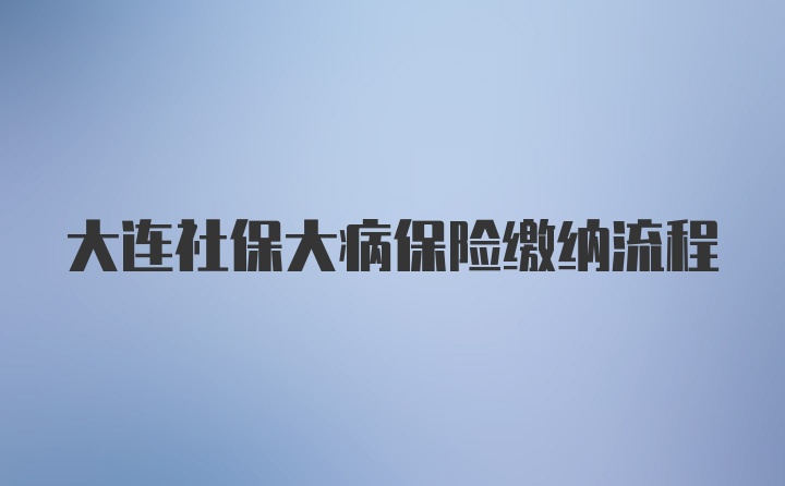 大连社保大病保险缴纳流程