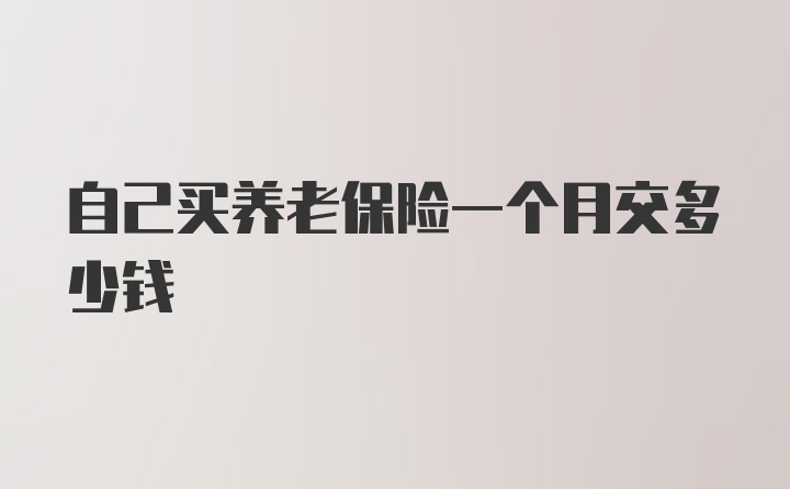 自己买养老保险一个月交多少钱