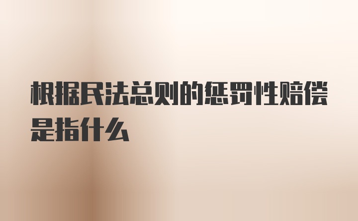 根据民法总则的惩罚性赔偿是指什么