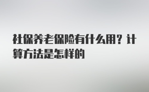 社保养老保险有什么用？计算方法是怎样的