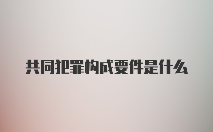 共同犯罪构成要件是什么