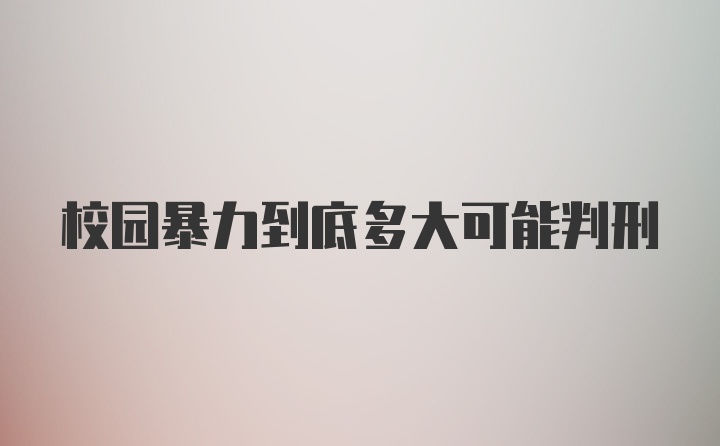 校园暴力到底多大可能判刑