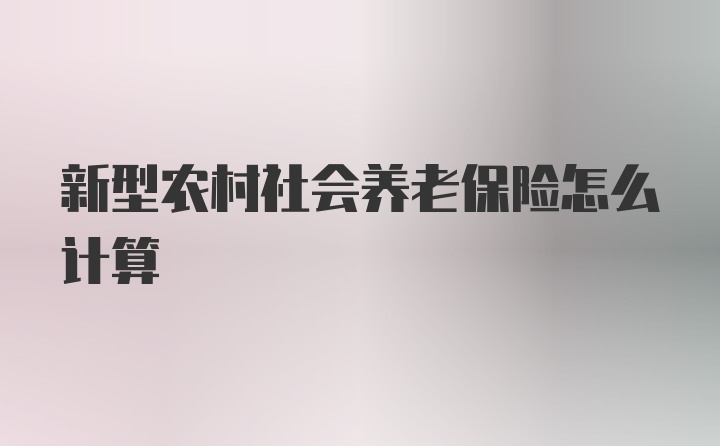 新型农村社会养老保险怎么计算