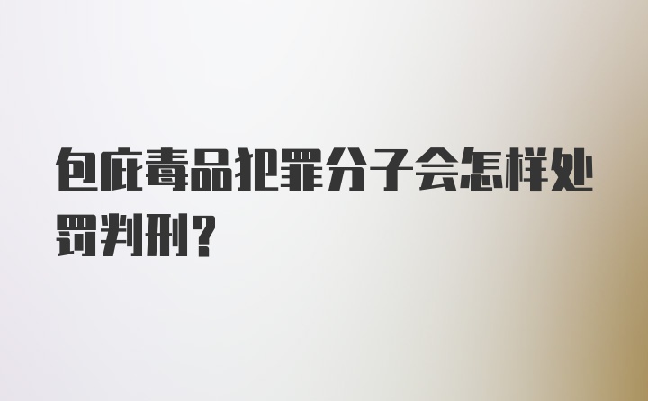 包庇毒品犯罪分子会怎样处罚判刑？